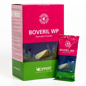 Boveril