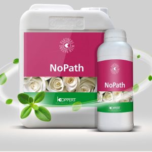 No Path, NoPath, Plant, fungal diseases, fungal diseases Pythium spp, Botrytis spp, Fusarium oxysporum, Downy mildew, Peronosporaceae, Phytophthora spp., Alternaria solani, Rhizoctonia solani