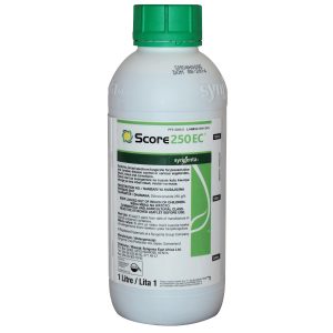 Score 250 EC