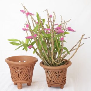 Matsui Terracotta Orchid Pot