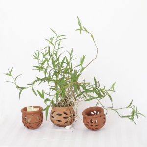 The Billie Terracotta Orchid Pot